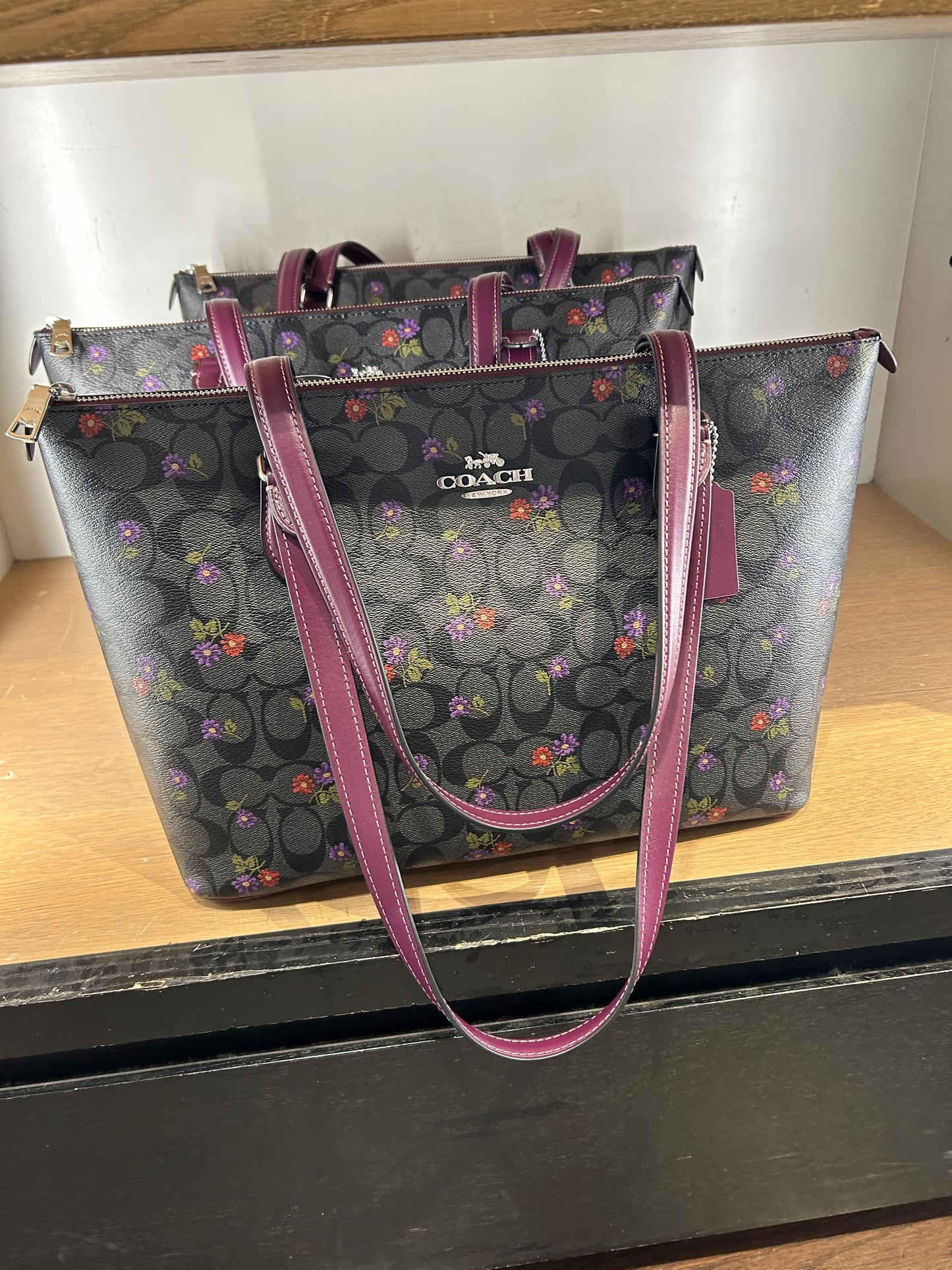 Coach Gallery Tote in Signature Canvas with Country Floral Print