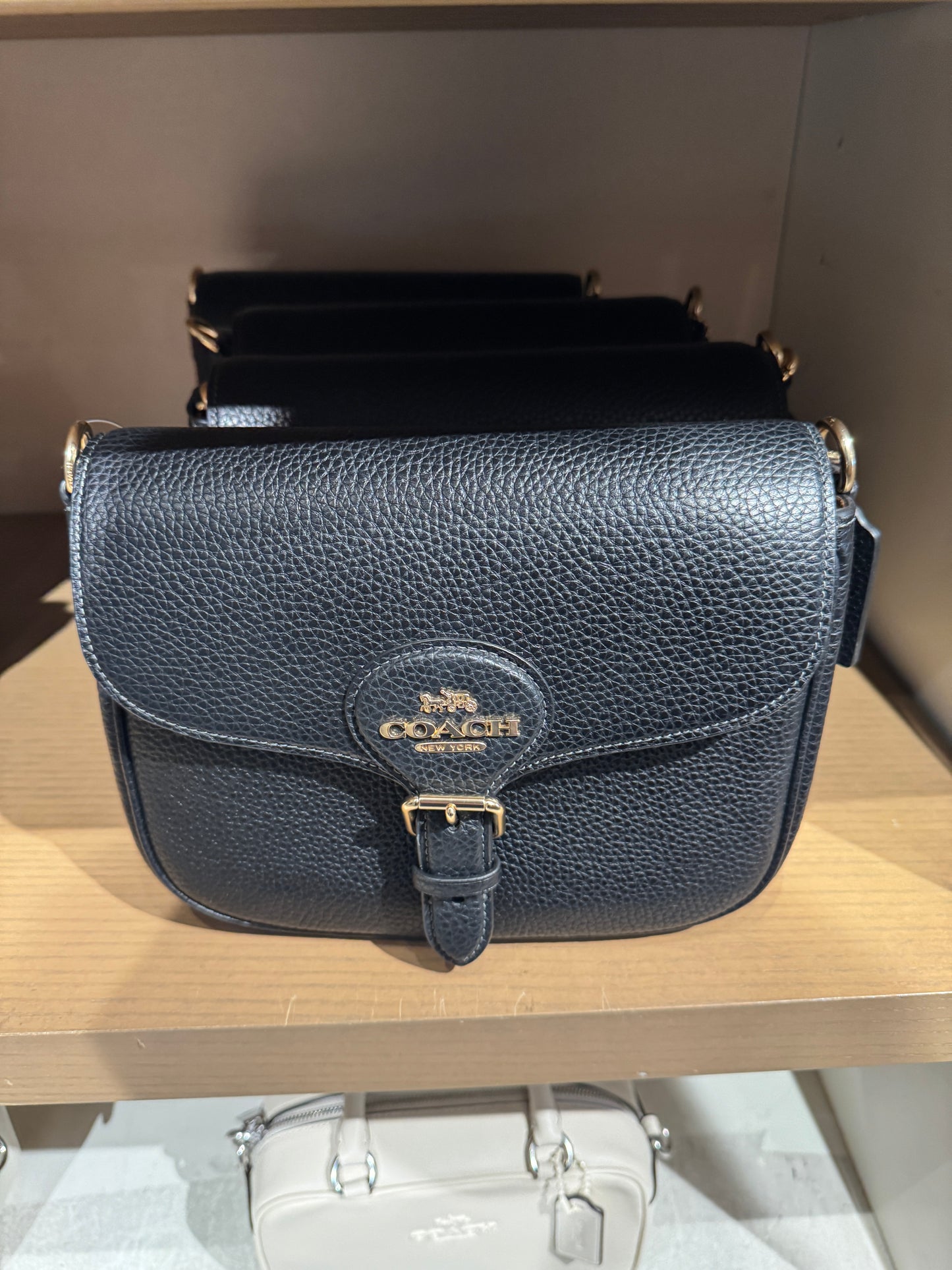 Coach Amelia Saddle Bag In Black (Pre-Order)