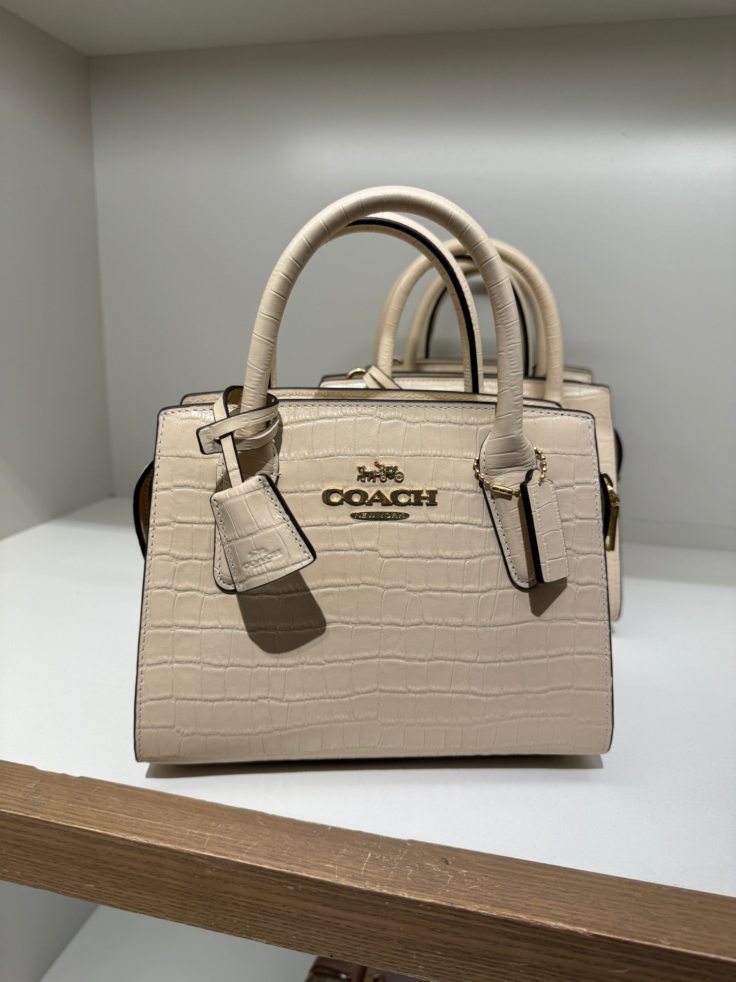 Coach Andrea Carryall Croc Embossed In Ivory (Pre-Order)