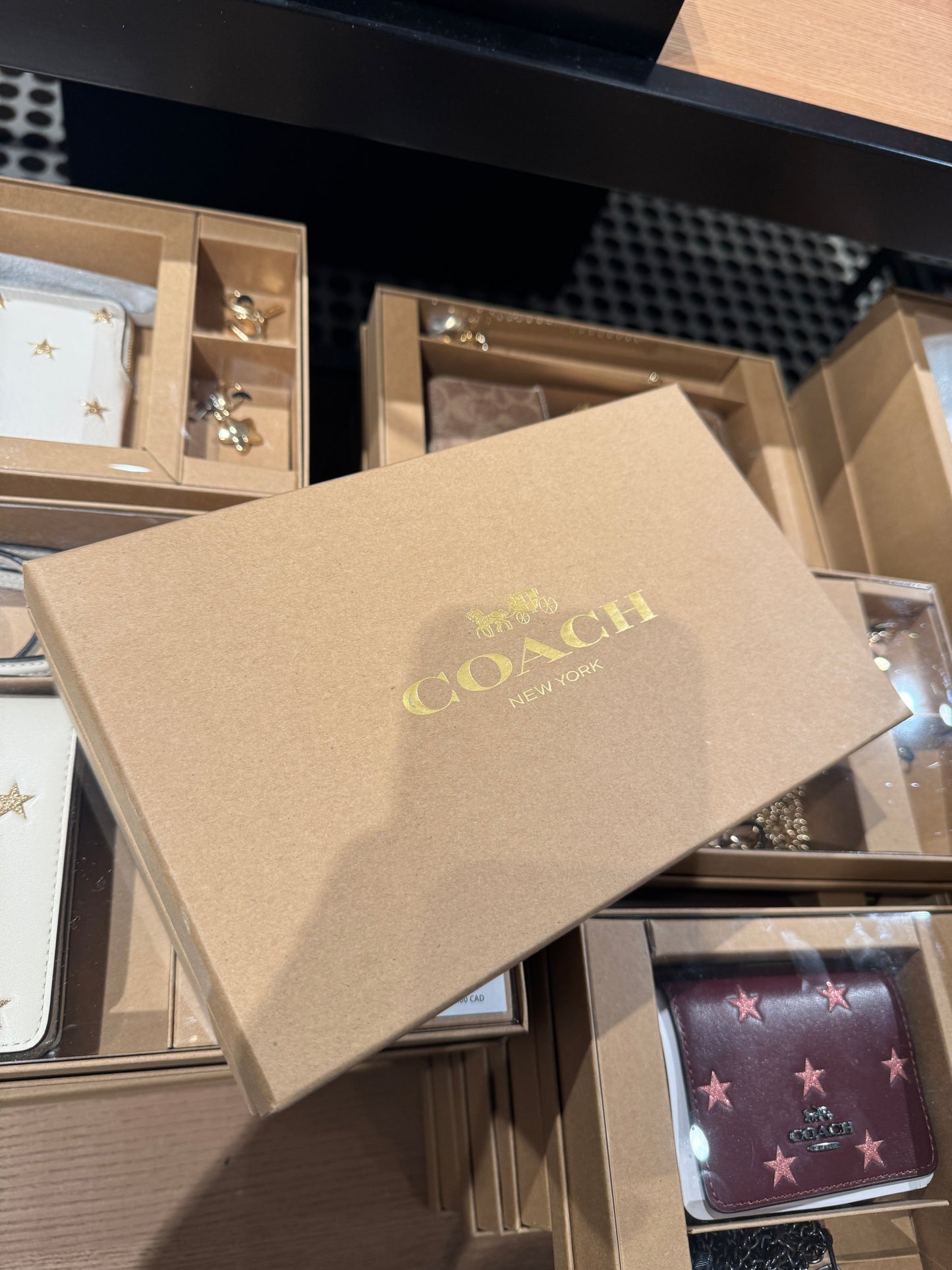 Coach Boxed Long Zip Around Wallet In Signature Canvas Light Champagne (Pre-Order)