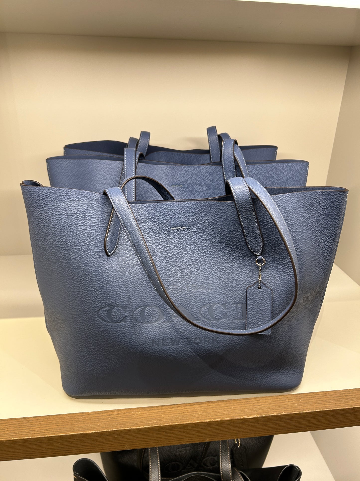 Coach Cameron Tote