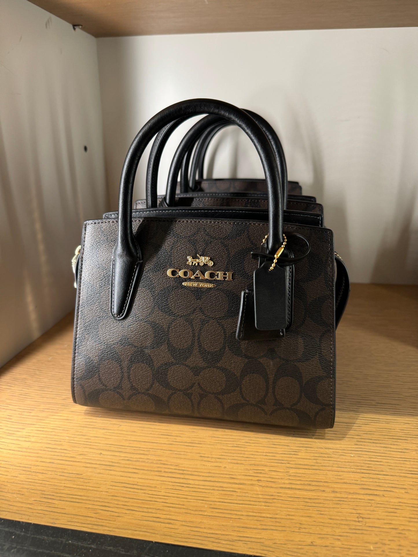 Coach Andrea Carryall In Signature Brown Black