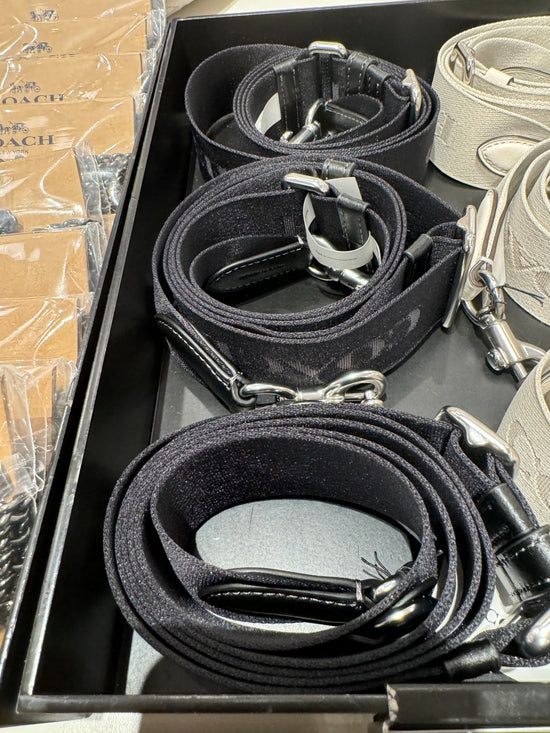 Coach Webbing Strap In Black