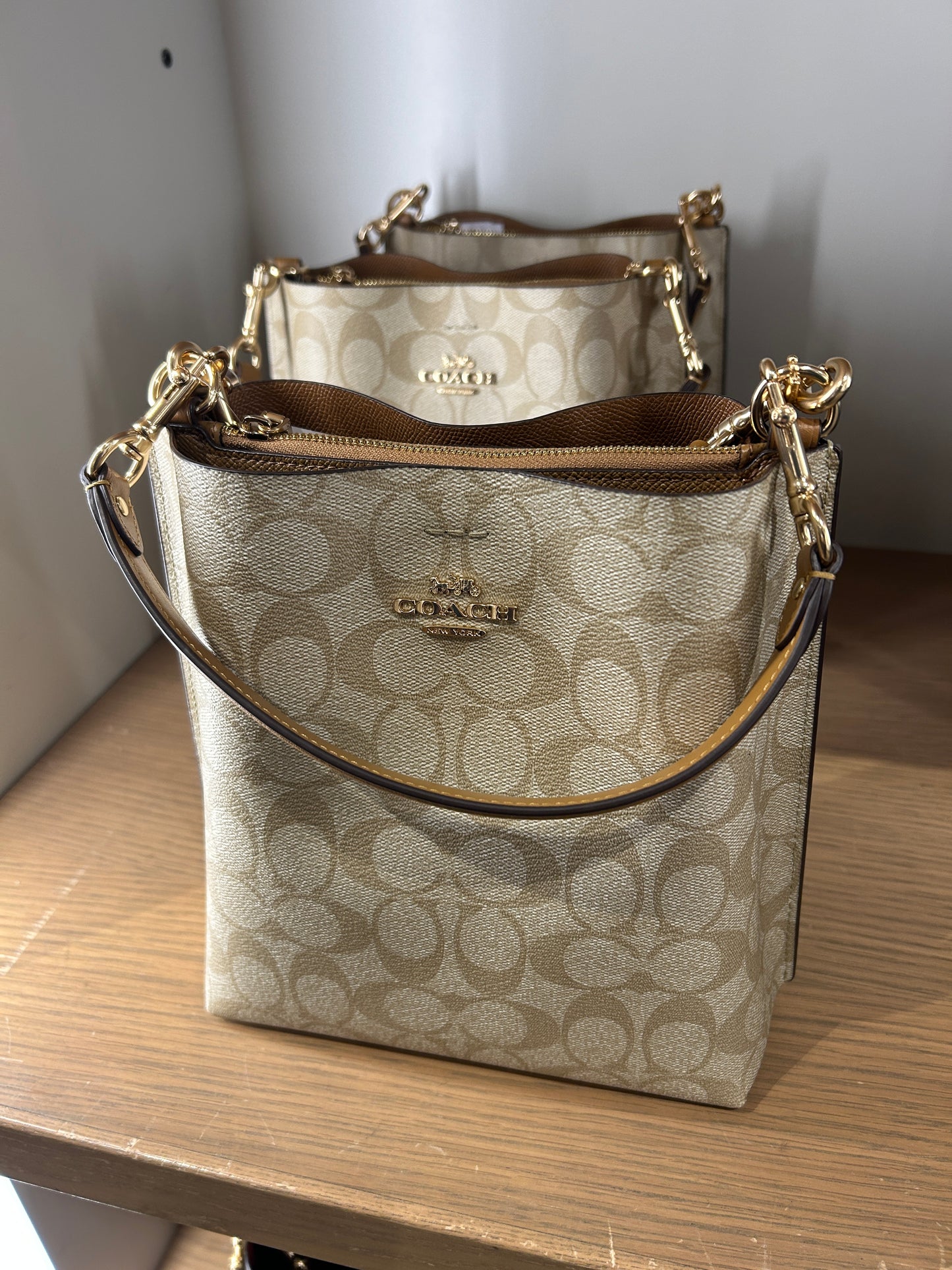 Load image into Gallery viewer, Coach Mollie Bucket Bag 22 In Signature Light Khaki Light Saddle
