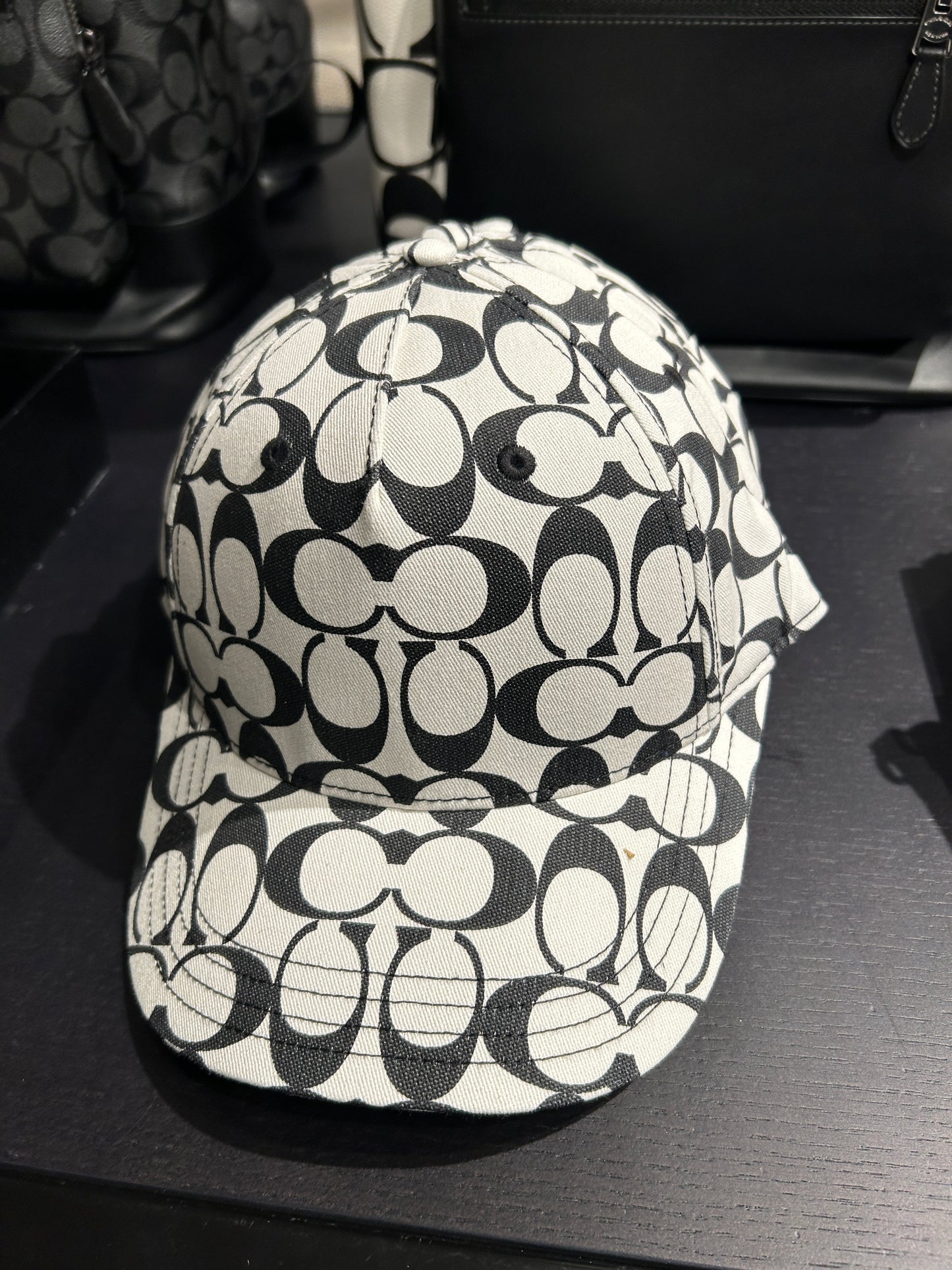 Coach Men Signature Baseball Hat In Chalk Graphite