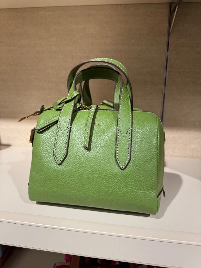 Fossil Sydney Mini Satchel In Green (Pre-Order)