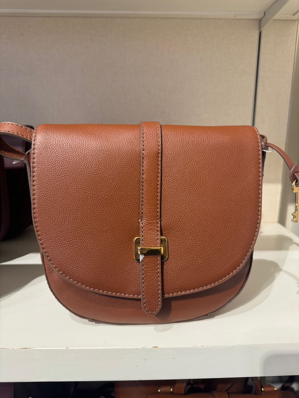 Fossil Emery Crossbody In Medium Brown (Pre-Order)