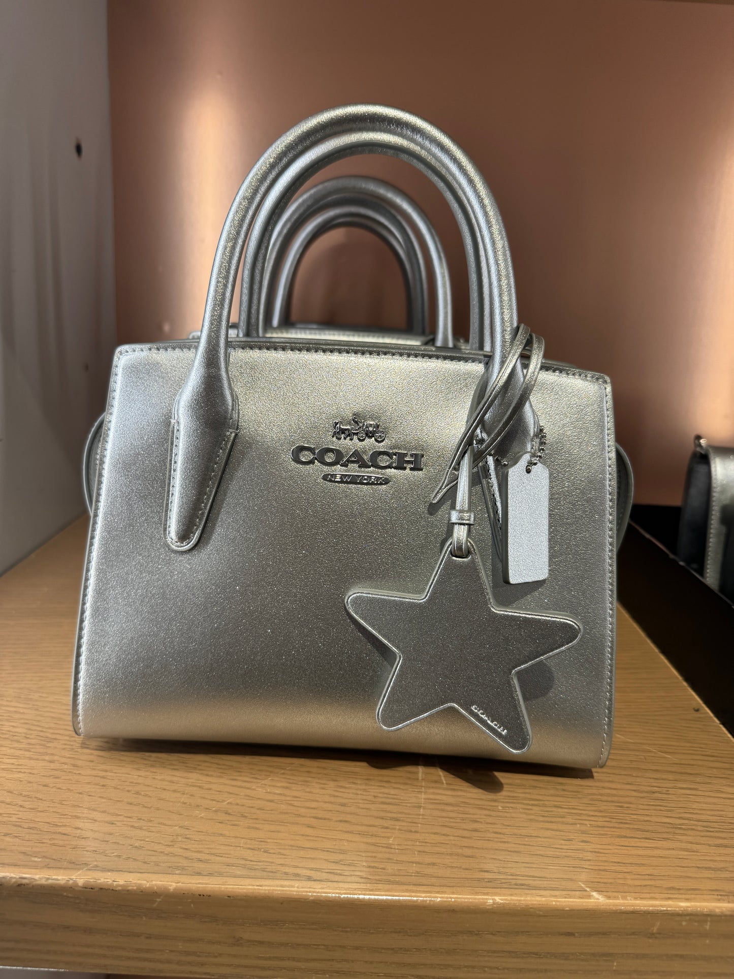 Coach Andrea Carryall In novelty leather Silver Light Silver (Pre-Order)