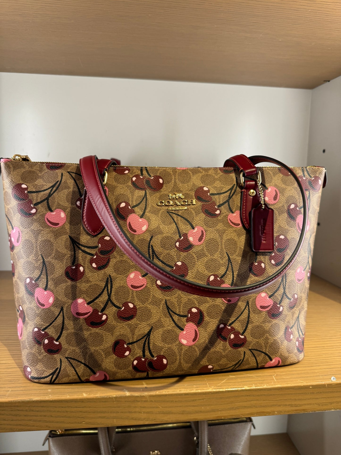 Coach Gallery Tote Bag In Signature Canvas With Cherry Print (Pre-Order)